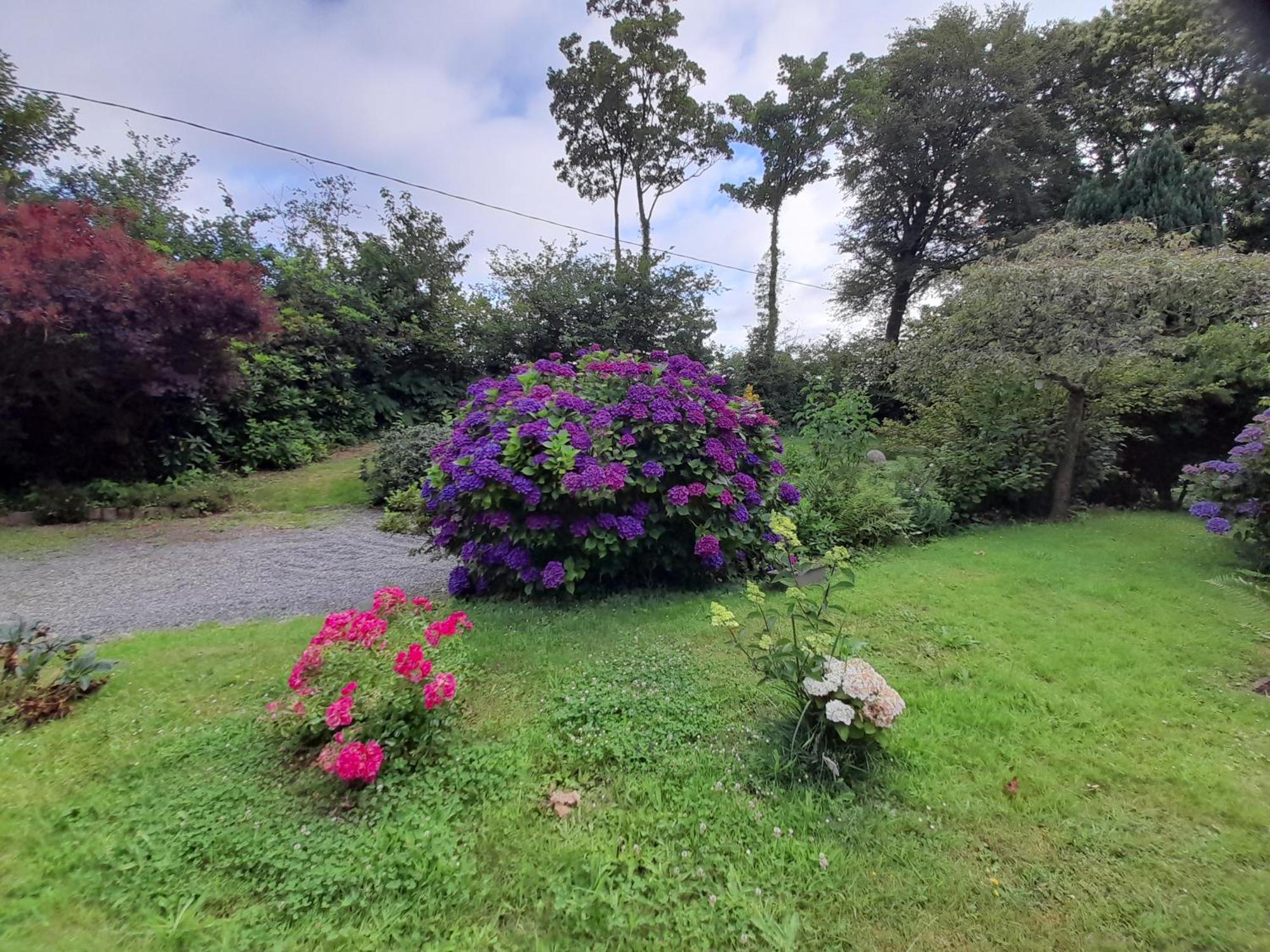 Bed And Breakfast Saultchevreuil, Au Mont Saint Michel 维勒迪莱丝波利斯 外观 照片